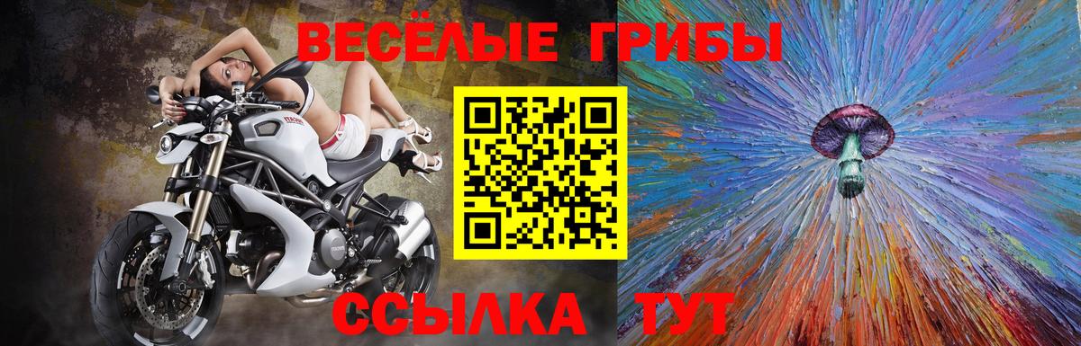 Гусиноозёрск  Псилоцибиновые грибы мицелий  Вход с VPN  Галлюциногенные грибы Psilocybine cubensis 